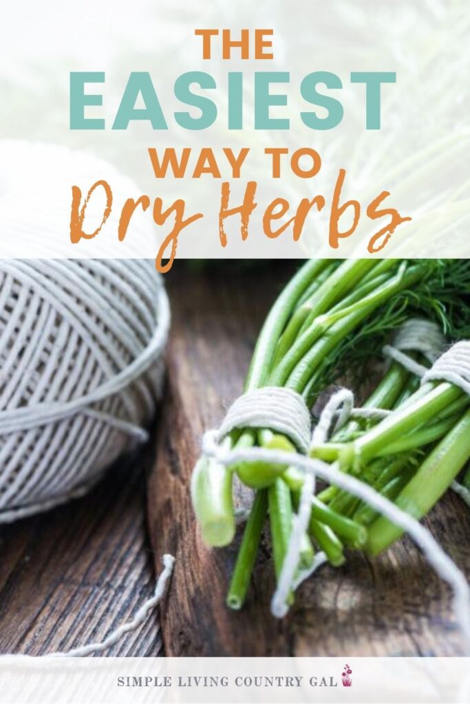 how to dry herbs