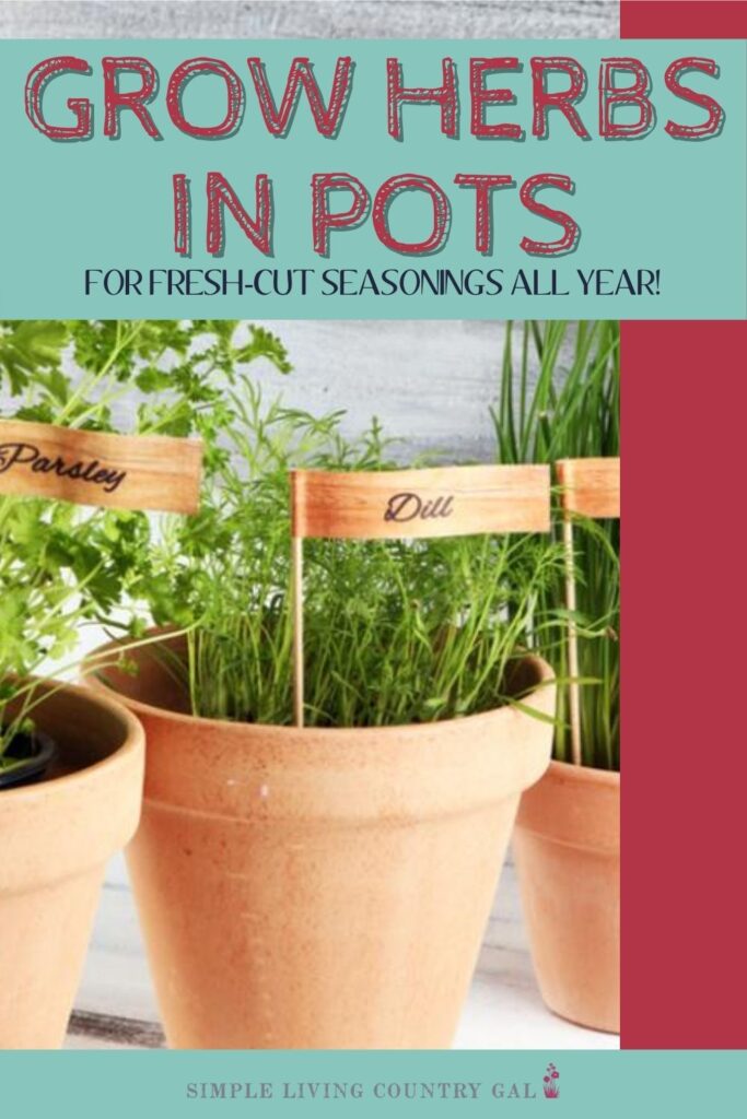 How to grow fresh herbs in your kitchen. Kitchen herb garden step by step. What are the best herbs to grow in your herb garden. The easy way to plant and grow herbs. How to plant herbs, how to water herbs, and how to trim back herbs. Why herbs are fun to grow. Growing herbs in containers. Growing herbs in pots. #growherbs #herbs #herbgarden #herbsincontainers