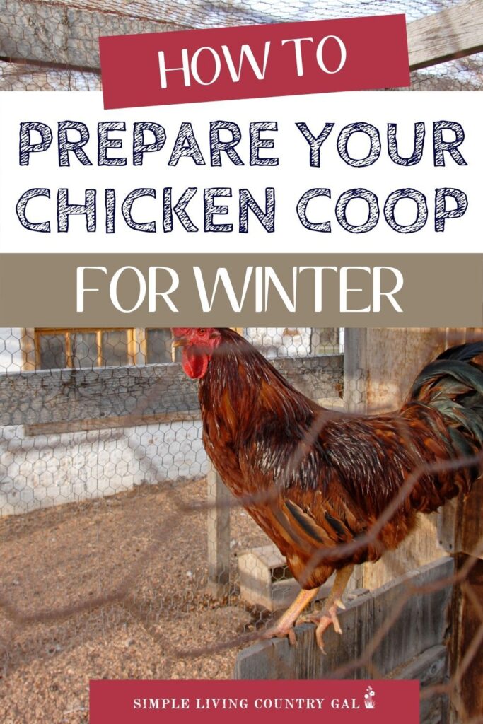 Get your chicken coop ready for winter