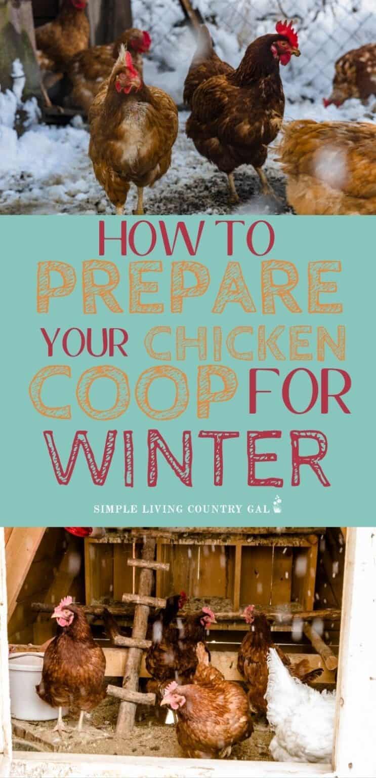 How To Prepare Your Chicken Coop For Winter Simple Living Country Gal