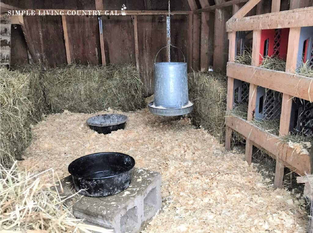 a chicken coop with straw bales along the interior walls to protect from winter