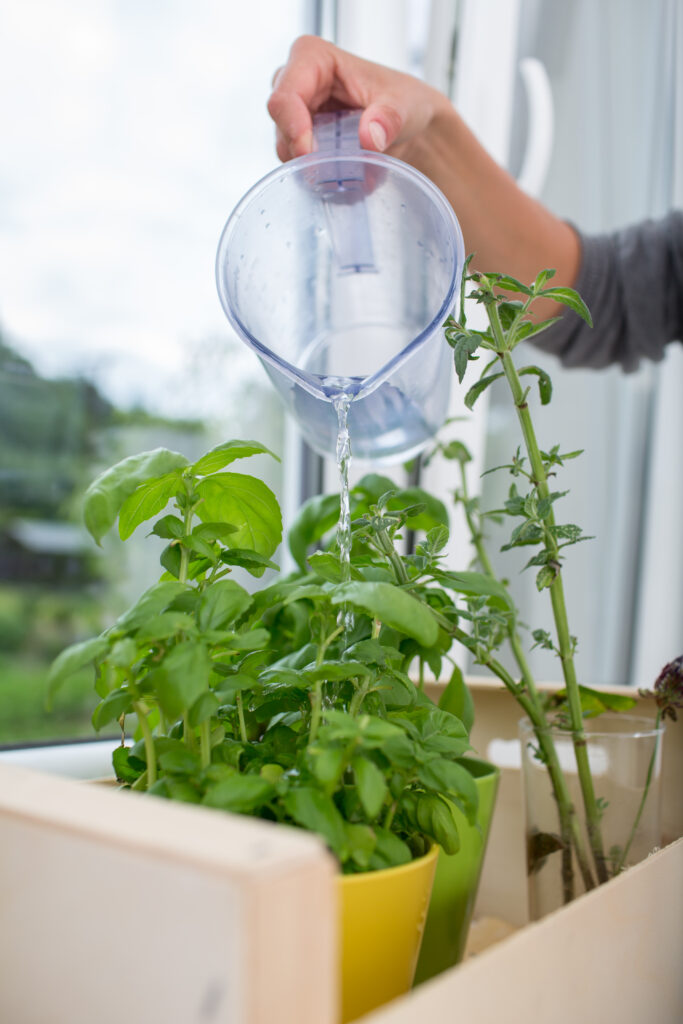 Watering your plants correctly help your herb garden grow healthily.