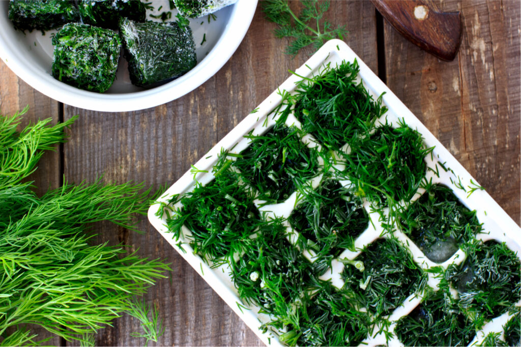 An ice cube tray full of dill, ready to be frozen by adding water, placed in the freezer, and then added to a freezer-safe ziplock bag. 