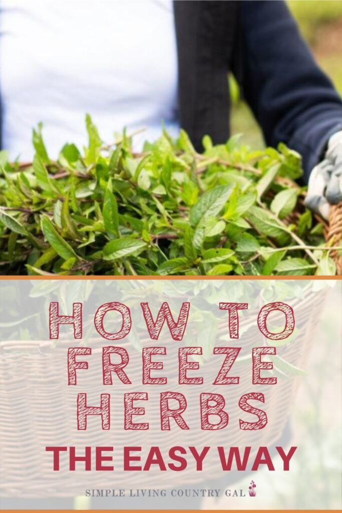 Have you grown an over abundance of herbs? Chop, mix and freeze