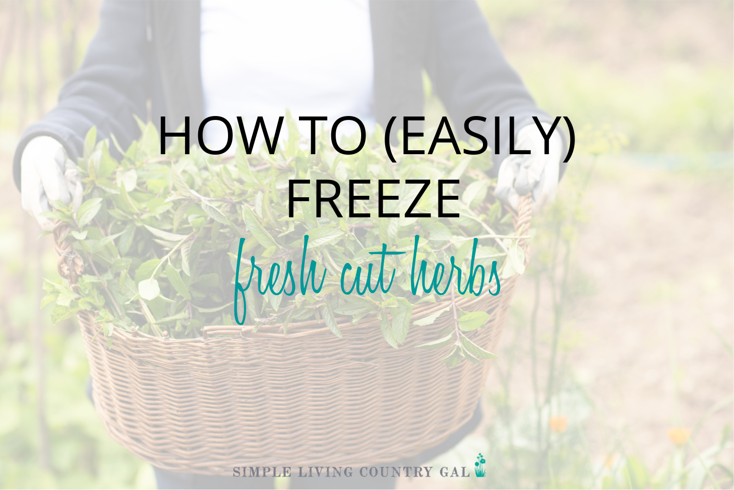 Have you grown an over abundance of herbs? Chop, mix and freeze