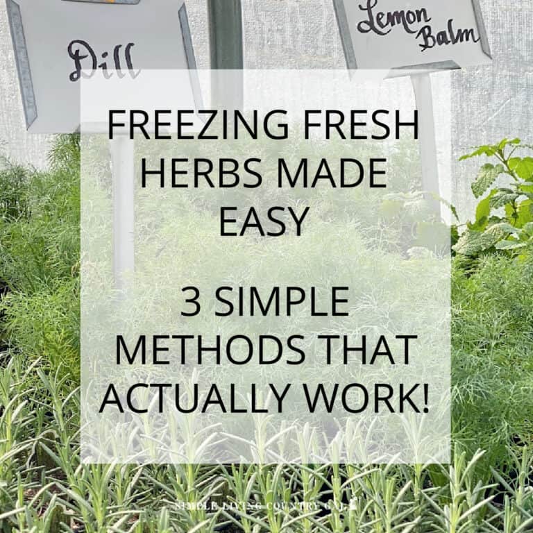 how to freeze herbs