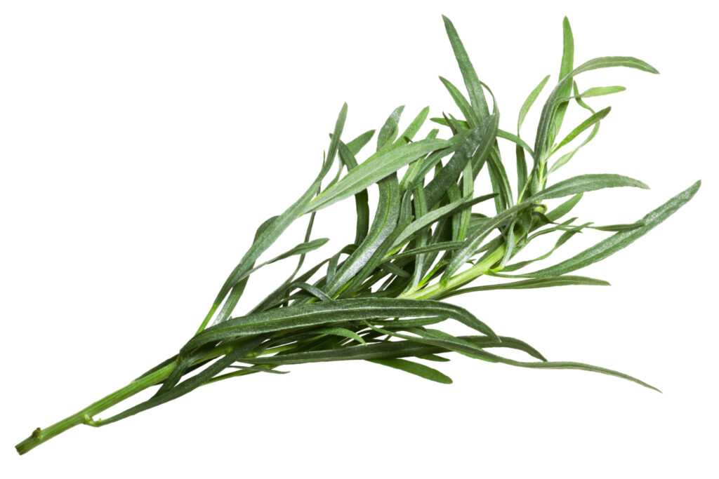 Tarragon isn't a popular herb, but you can use it sparsely on poultry and fish dishes. 