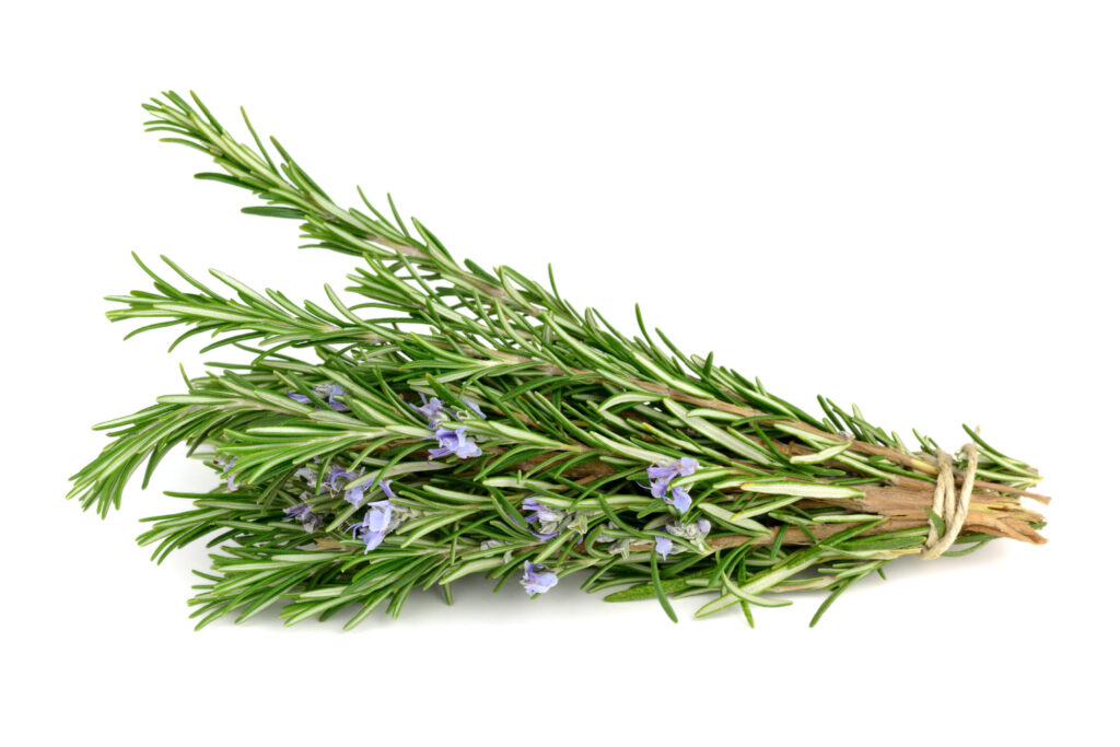 To use herb rosemary corrected, start sparingly as the wonderful flavor can be overpowering if you use too much. 