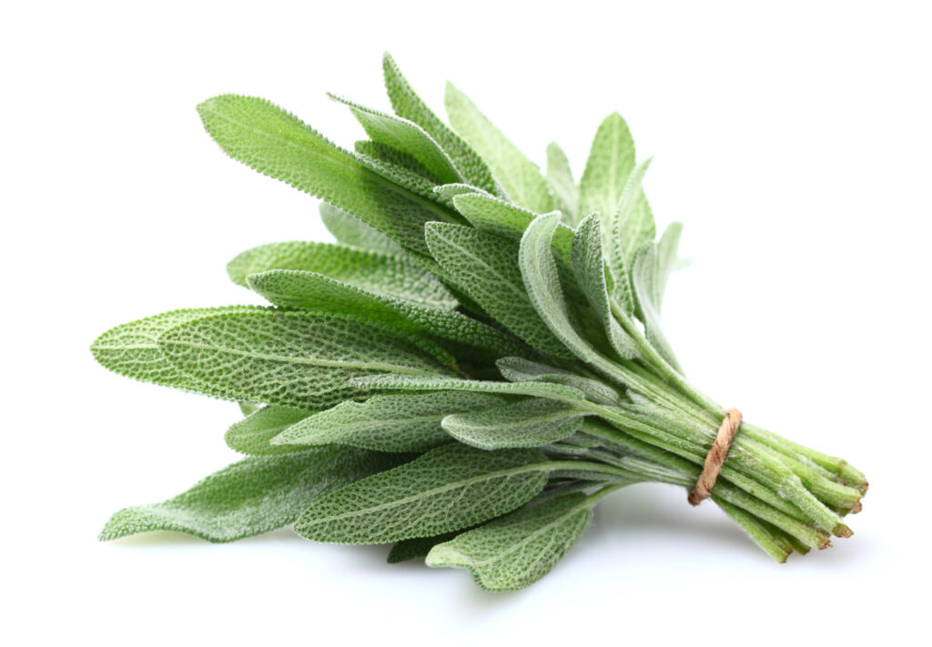 The best use for the herb sage is in all your holiday cooking. 