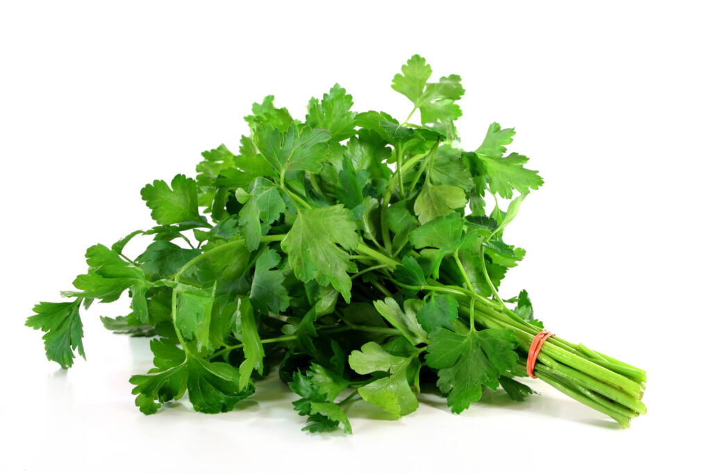 You can use the herb parsley as a palate cleanser, garnish, or as part of your dish. 