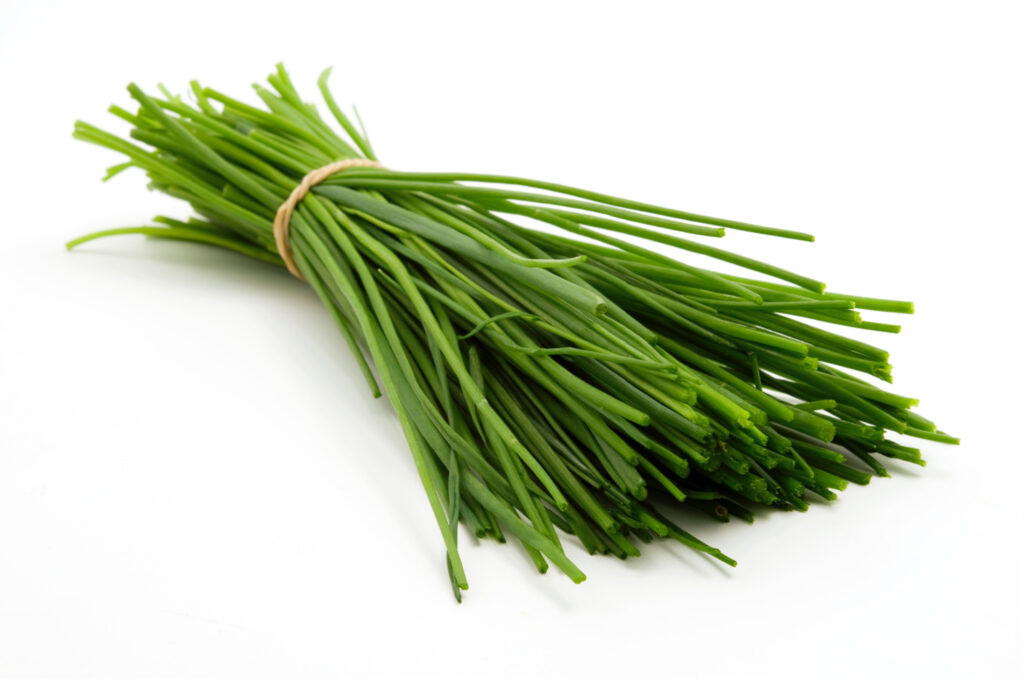 Fresh chives give a wonderful onion flavor to your food. 