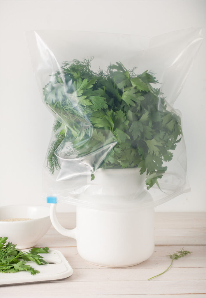 This parsley is in a jar of water with a plastic bag on top to create a mini-greenhouse effect for the health of the herb. 