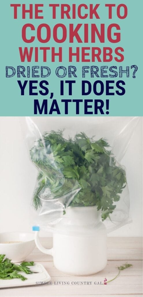 There is nothing that smells more wonderful than fresh-cut herbs but cooking with them is totally different than with dried herbs. Cooking with fresh herbs. Herbs 101 how to use fresh herbs when cooking. What flavors to each herbs bring to a dish? How to know what herbs to use in each recipe. #herbs #cookingwithherbs #howtouseherbs #freshherbs101