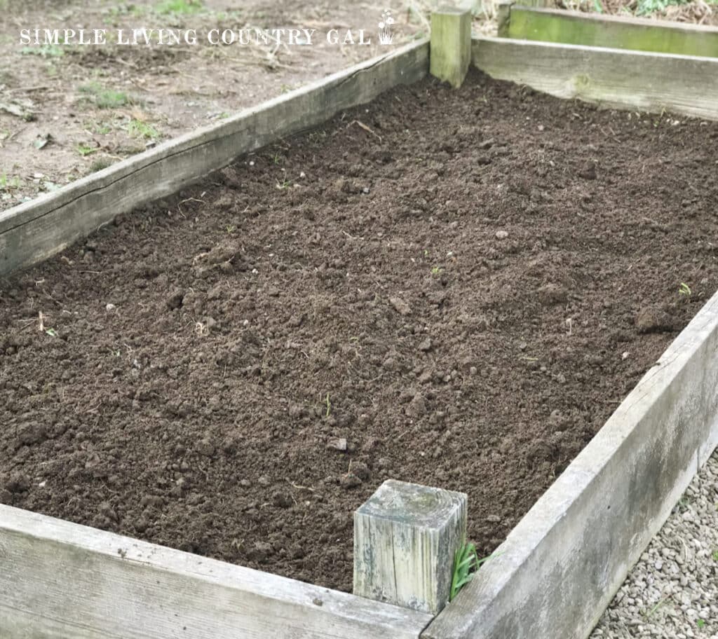 a raised bed of soil waiting to be planted