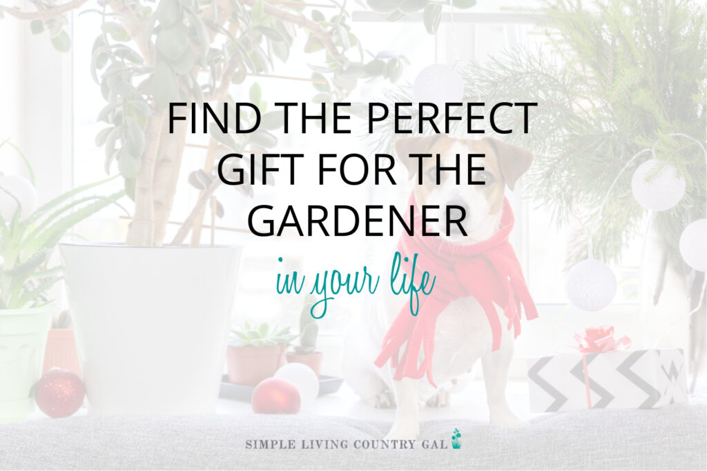 Find the perfect gift for the gardener in your life.