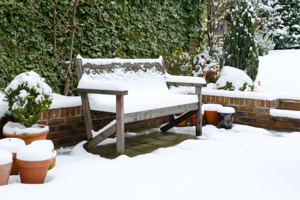 Keep reading this guide to find out how to grow vegetables in the winter, even when your backyard is covered in snow. 