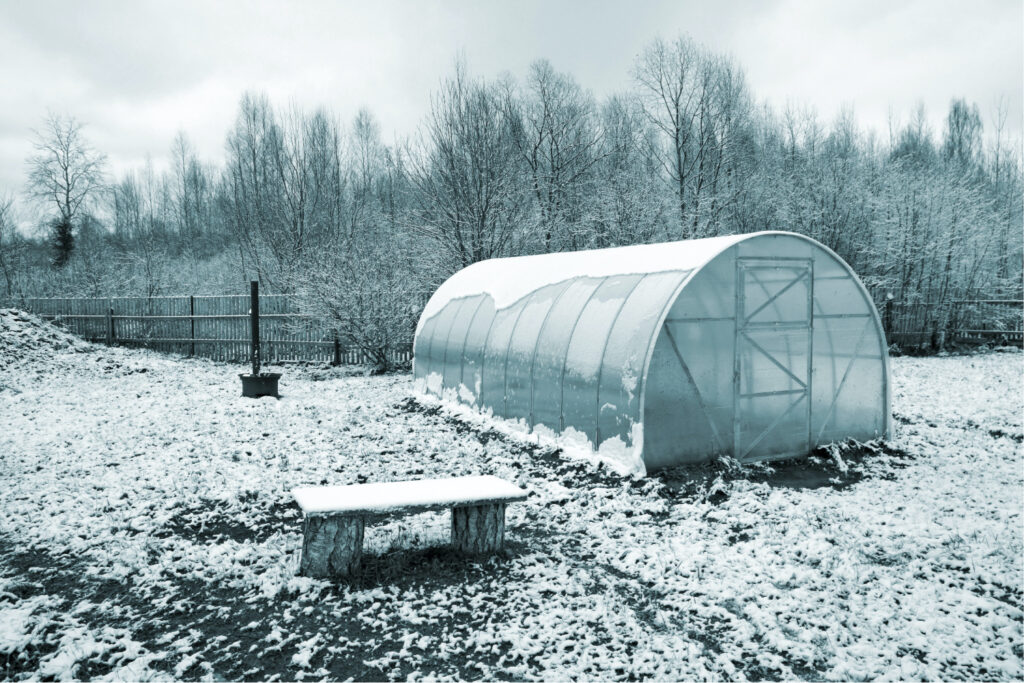 This is an example of a plastic hoop garden, which allows vegetables to grow in a winter garden.