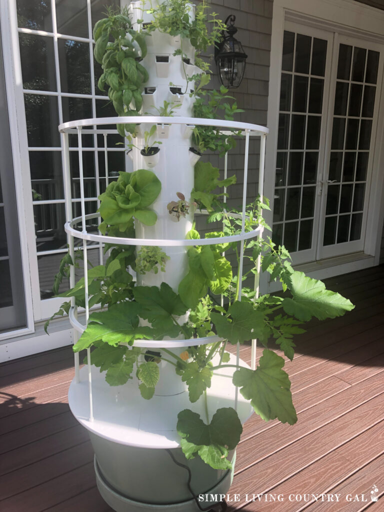 This hydroponic indoor vegetable garden can also be used on a porch. 