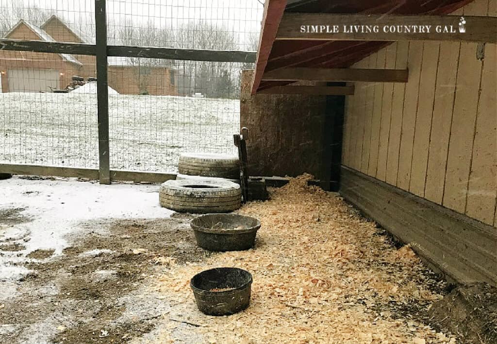 a roof over a chicken run in the winter