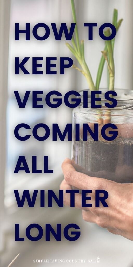 Extend your growing season all winter long. An indoor Vegetable gardening guide that will walk you through everything you need to know to grow a veggie garden right inside your home all winter long. Indoor gardening guide. What vegetables to grow in the winter. How to set up a countertop garden. Indoor veggie garden step by step. #indoorgarden #hydroponicgarden #wintergarden #winterveggies #diyindoorgarden #countertopgarden #growveggiesindoors #garden