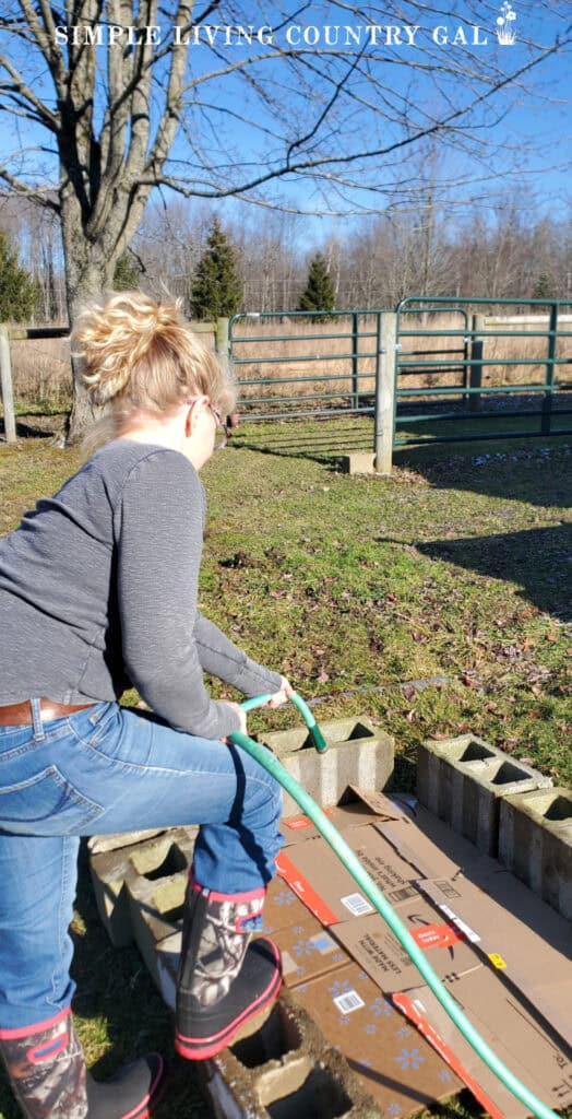 a woman watering a layer of cardboard in a lasagna garden bed with cinderblocks as the boarder
