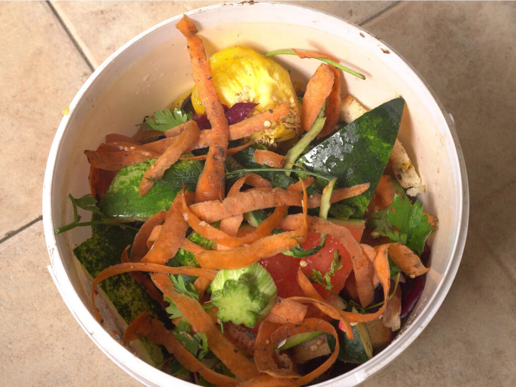 Vegetable kitchen scraps for composting in your lasagna garden for beginners