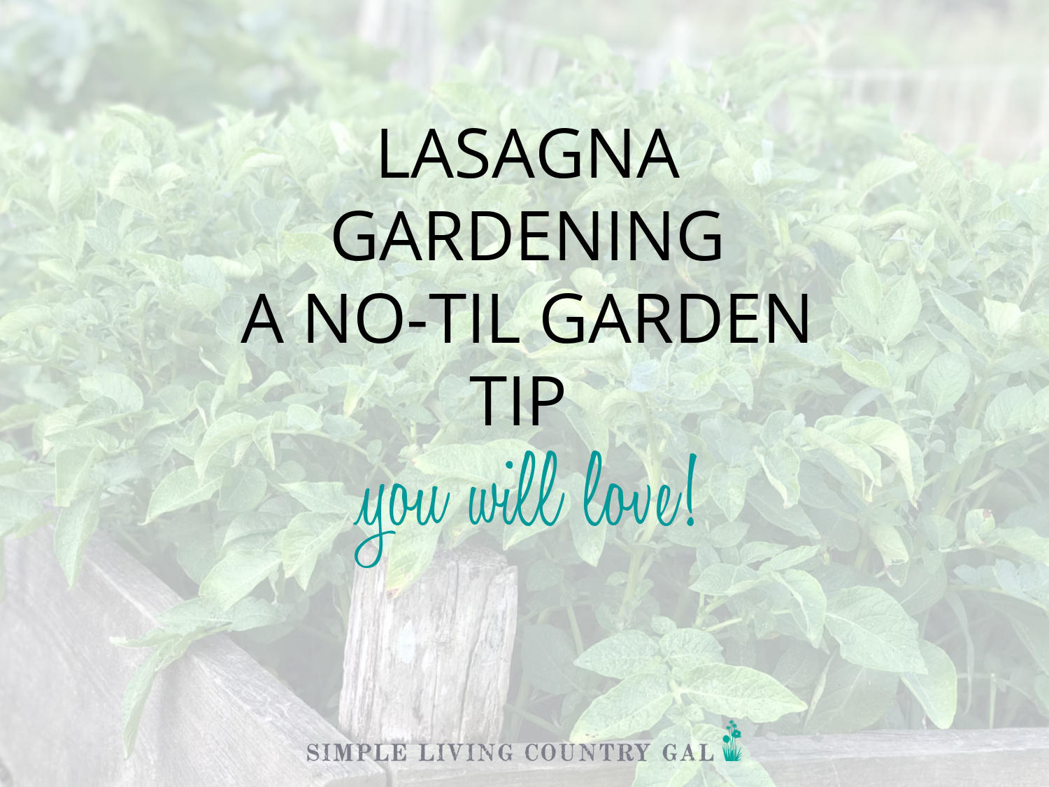 Lasagna Gardening for Beginners