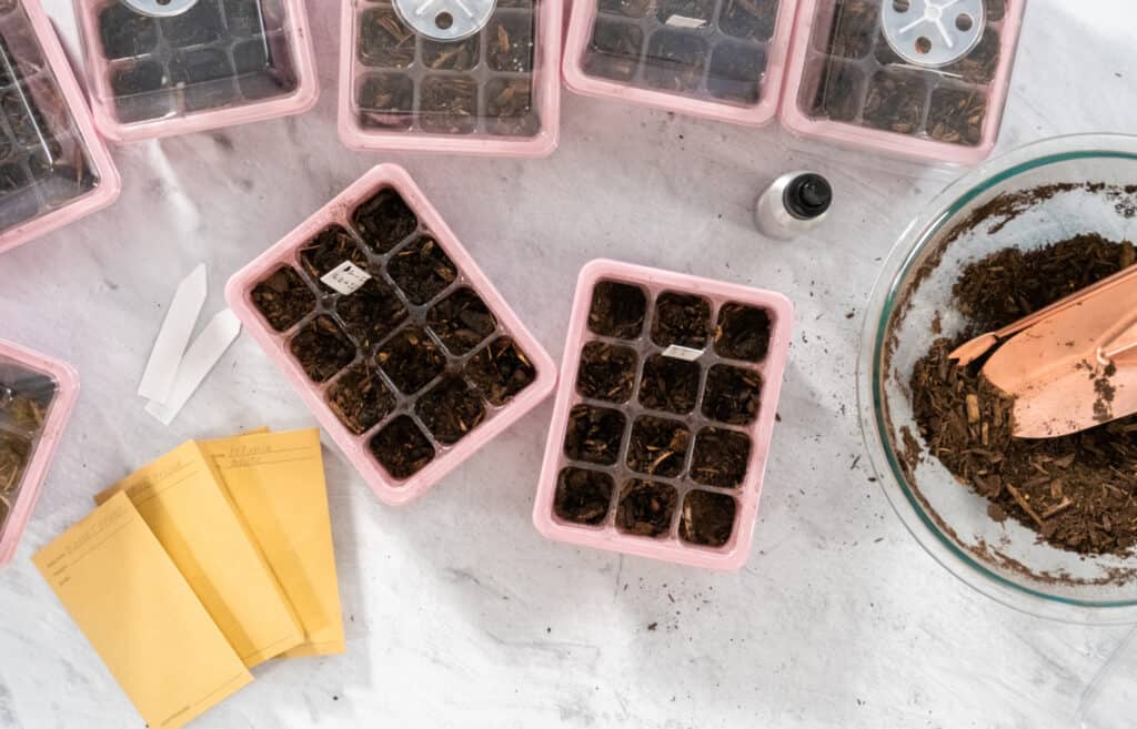 small containers planted with seeds packets and a bowl of soil