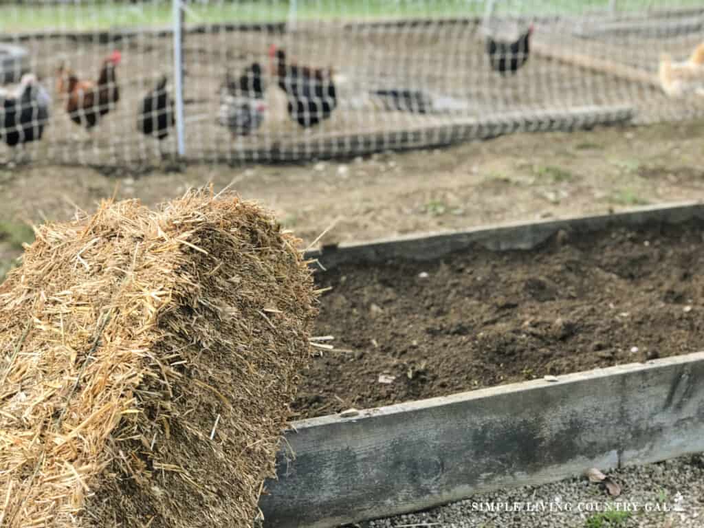 a raised bed garden with a straw bale lying in front