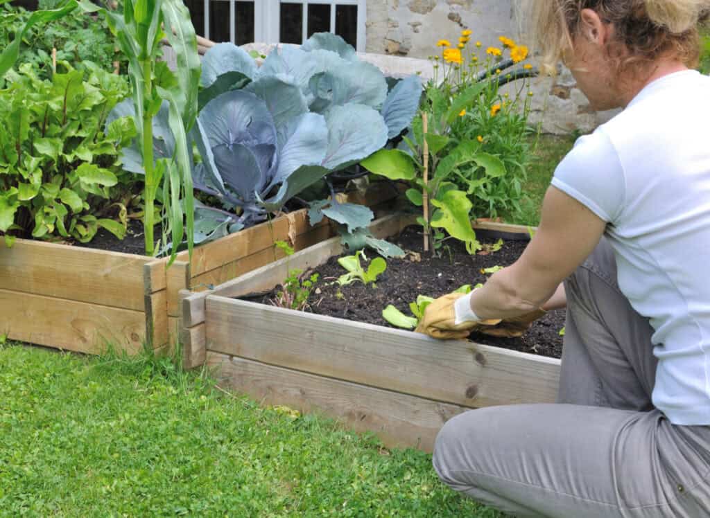 a woman tending to a square foot garden 