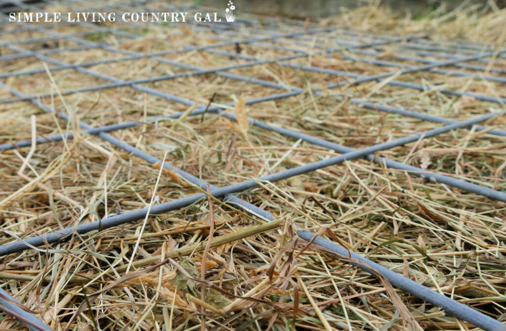 Fencing on a garden to map out square foot size.