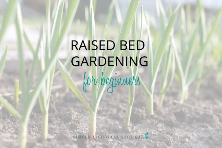 Square-Foot Gardening for Beginners