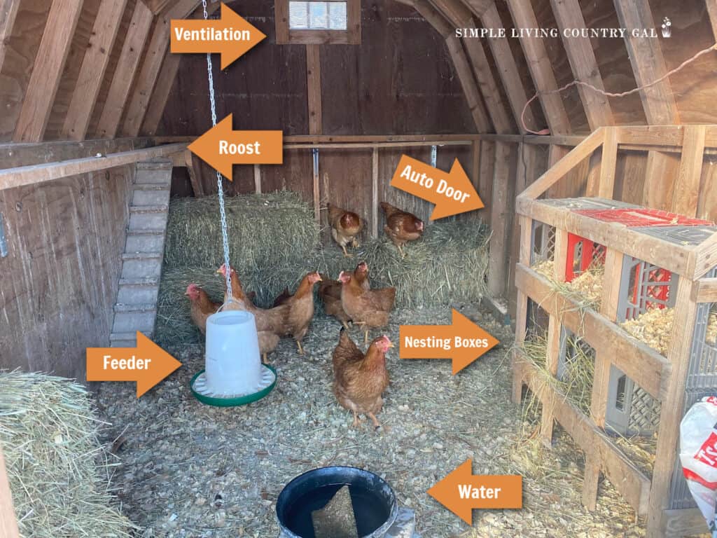 a interior photo of a chicken coop with orange arrows pointing to each area inside 