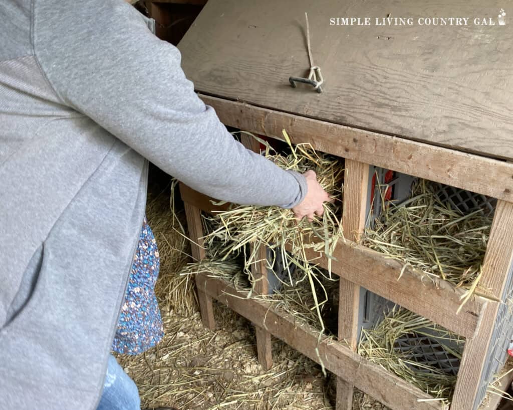 a woman putting hay into a DIY egg laying box in a coop