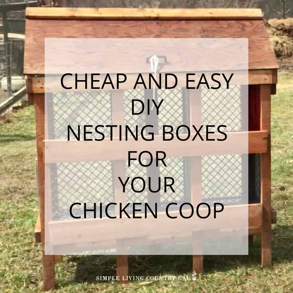 Building Milk Crate Chicken Nesting Boxes | Simple Living Country Gal