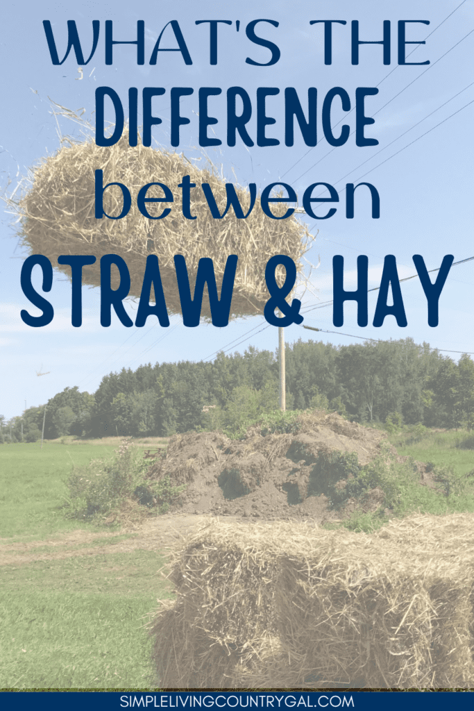 What is the Difference Between Hay and Straw?