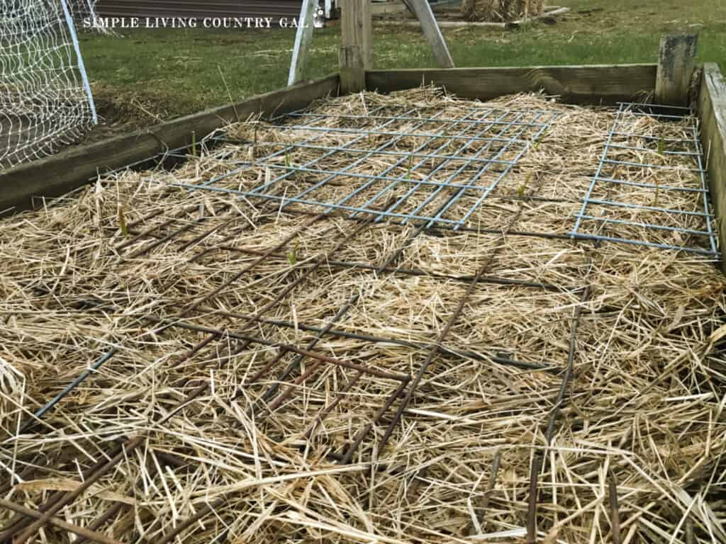 raised garden ben with a layer of straw and pieces of fencing on top