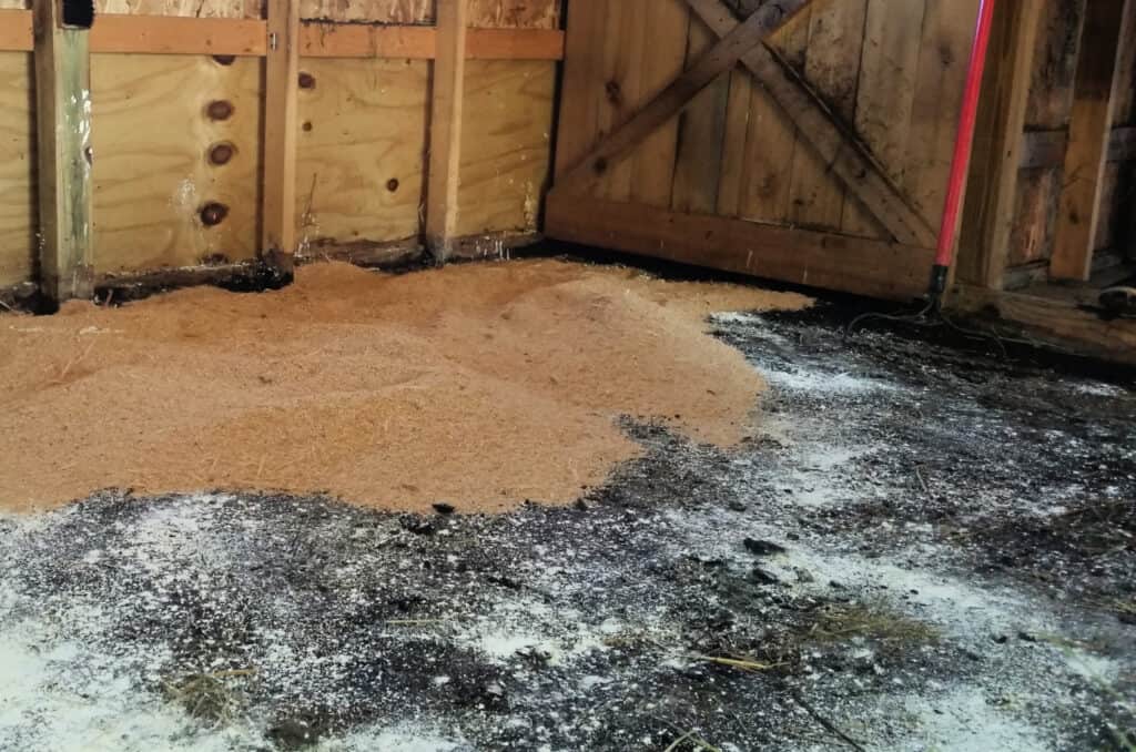 a barn stall with sawdust and lime on the ground