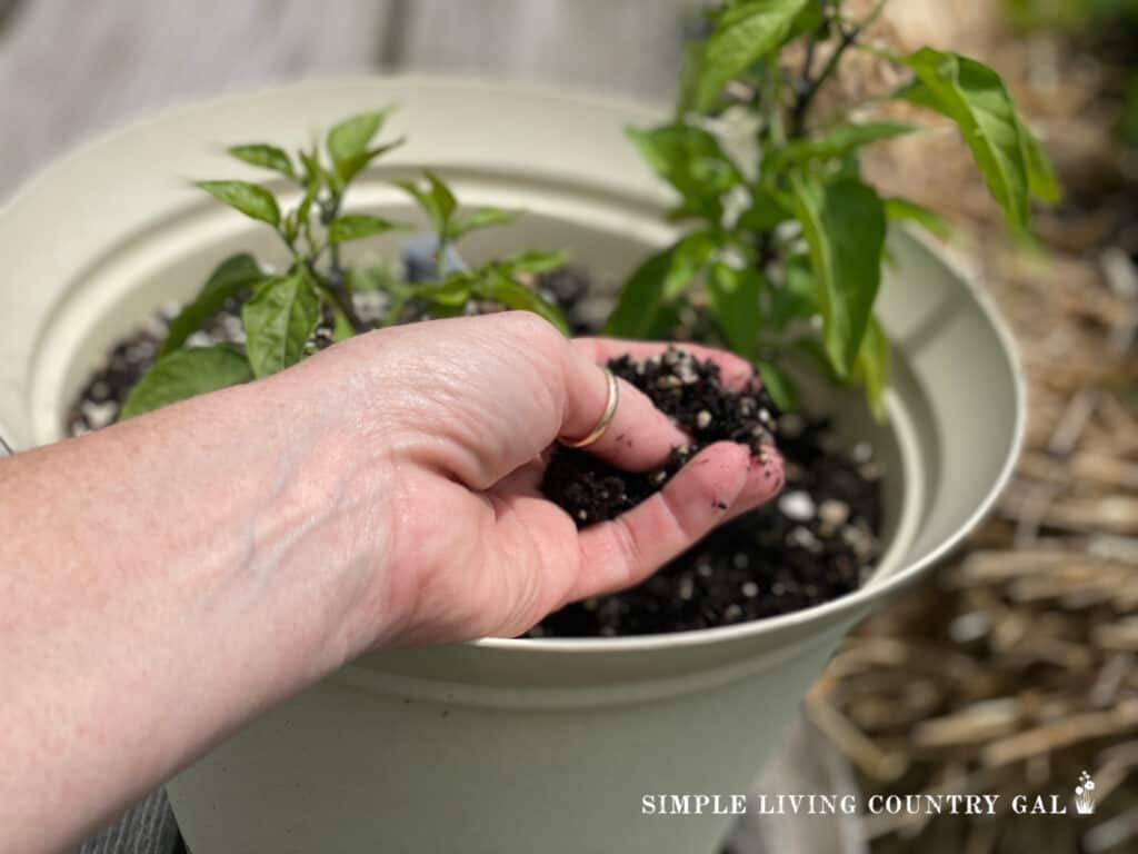 a hand holding soil in a flower pot