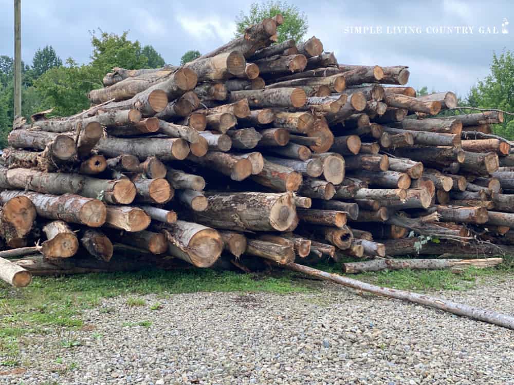 a large stack of logs