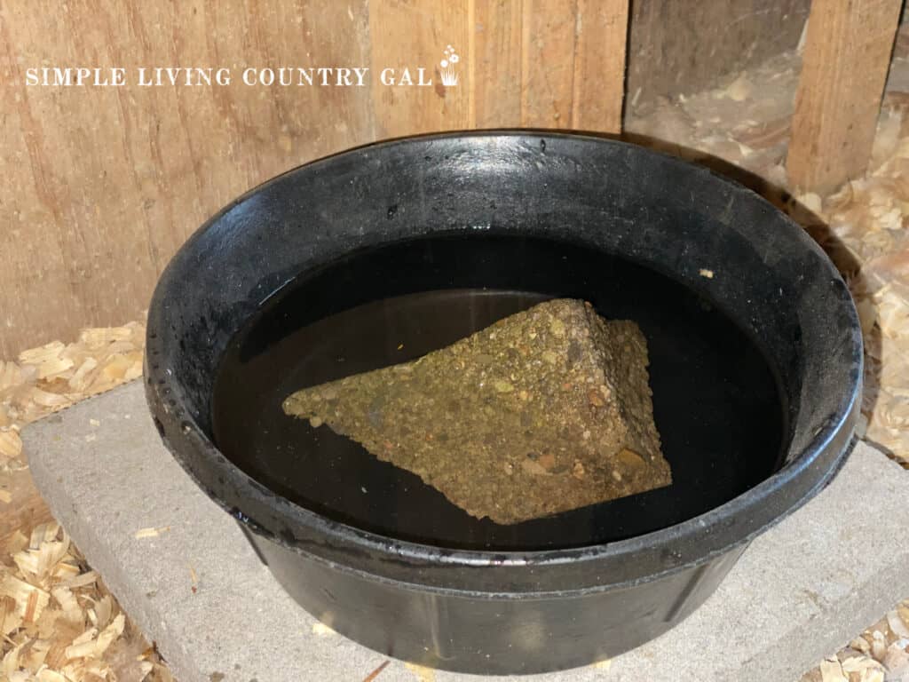 a rubber feed bowl with a clean rock inside filled with water in a chicken coop