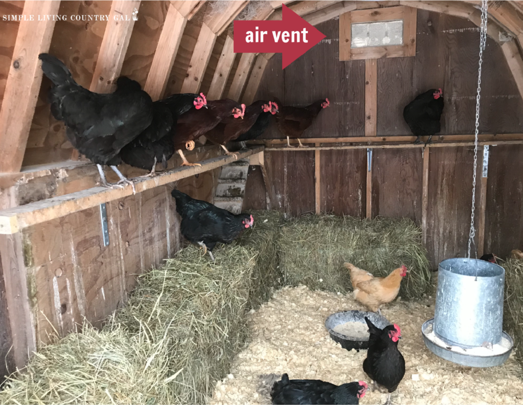 interior of a coop with chickens on the roost and floor with a red arrow and words saying "air vent" pointing to an air vent 