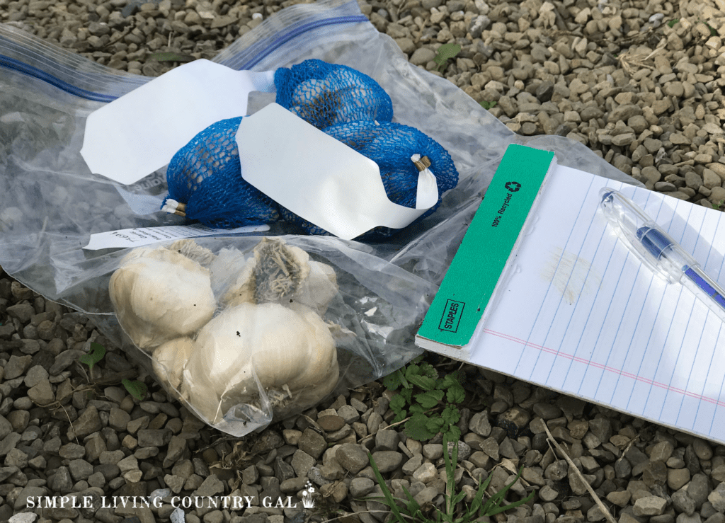 bag of garlic next to a pad of paper with a pen copy