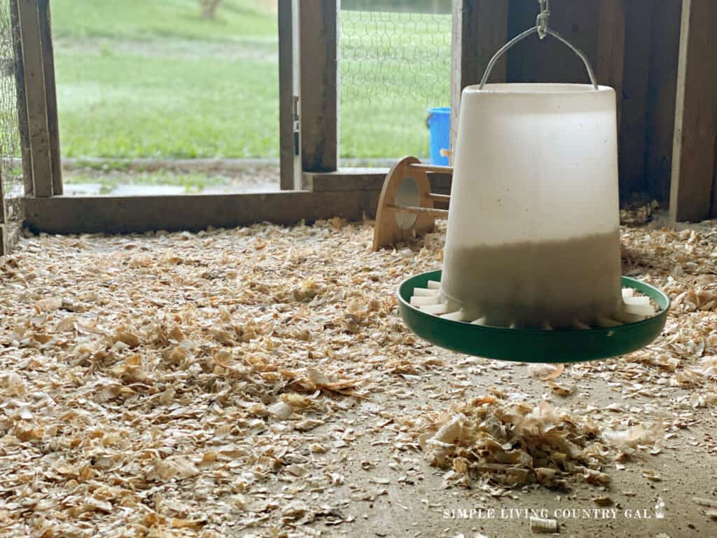 wood chips on the floor of a chicken coop with a green feeder
