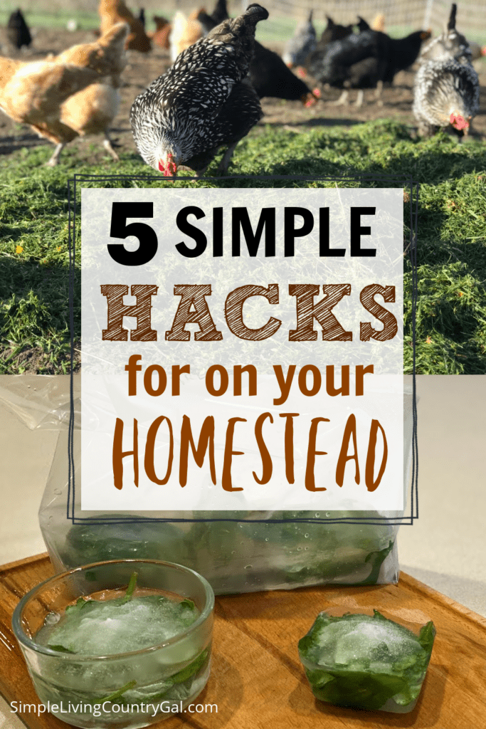 5 simple homesteading tips (1)