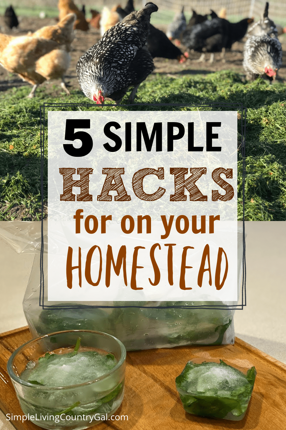 5 Surprisingly Simple Homesteading Tips Simple Living Country Gal