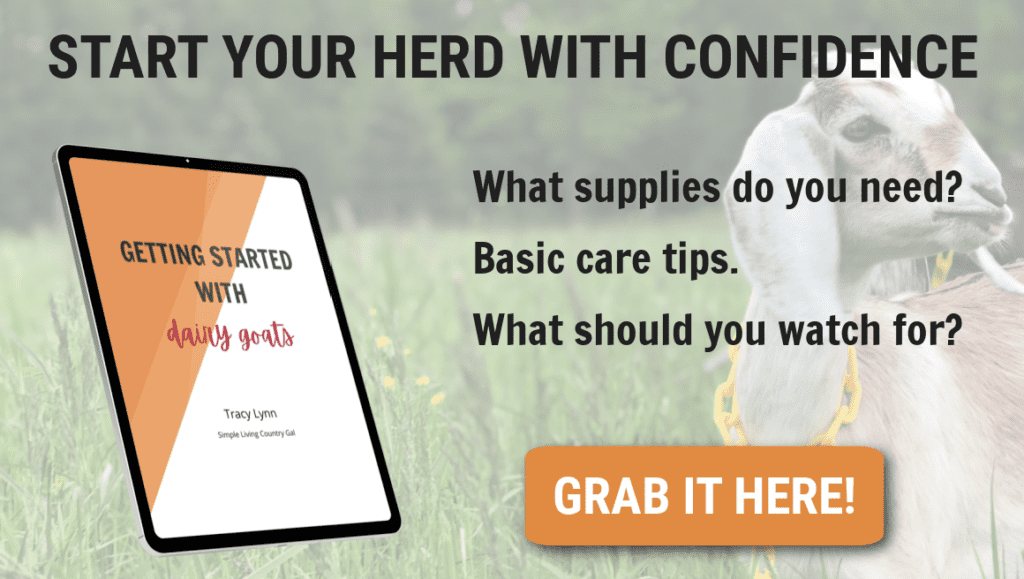 FREE GUIDE offer for raising dairy goats