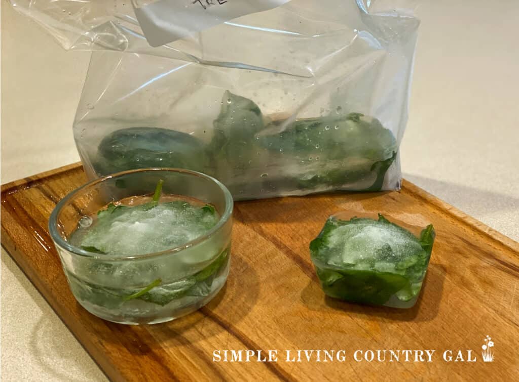 a freezer bag of frozen spinach cubes for chickens to eat