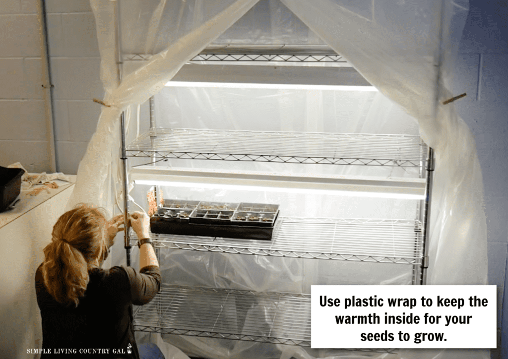 a woman putting trays of planted seeds on a shelf wrapped in plastic 