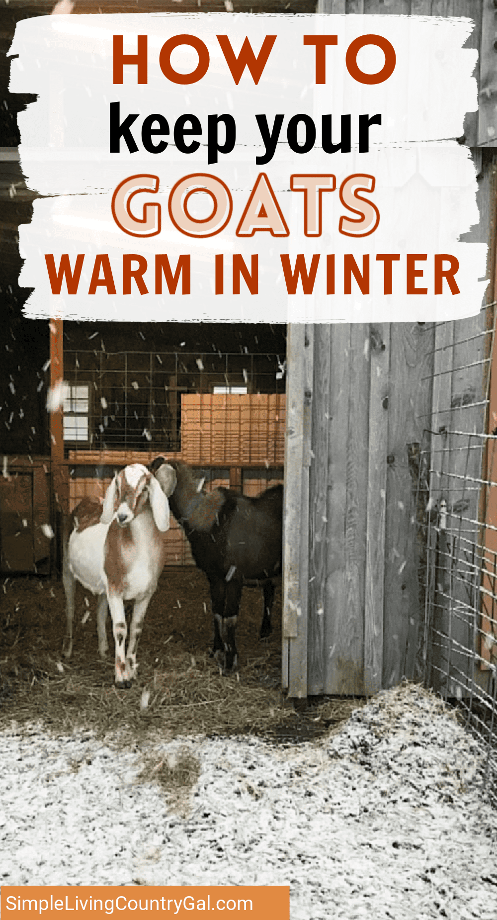 Help Your Goats Cope With Winter Simple Living Country Gal